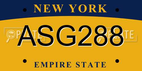 ASG288 New York License Plate