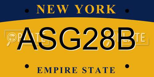 ASG28B New York License Plate