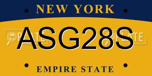 ASG28S New York License Plate