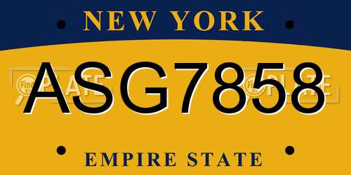 ASG7858 New York License Plate