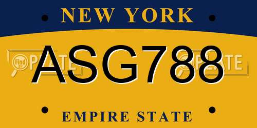 ASG788 New York License Plate