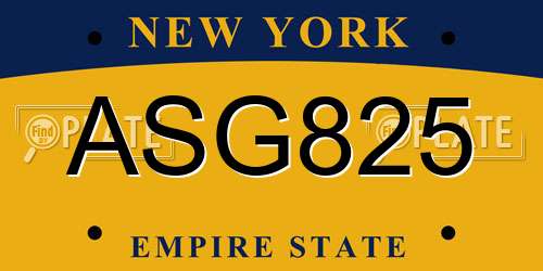 ASG825 New York License Plate