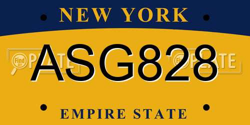ASG828 New York License Plate