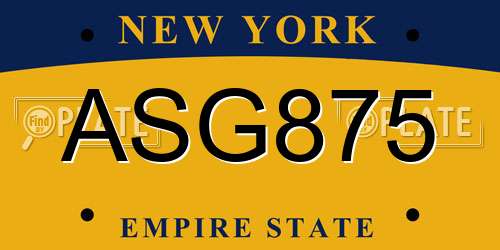 ASG875 New York License Plate