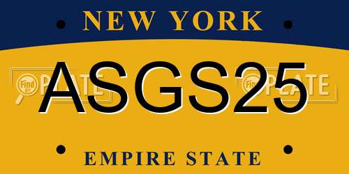 ASGS25 New York License Plate