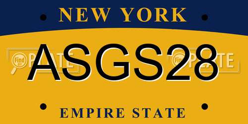 ASGS28 New York License Plate