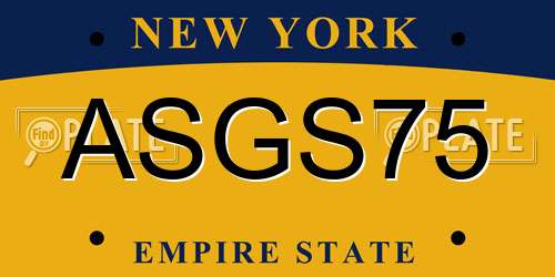 ASGS75 New York License Plate