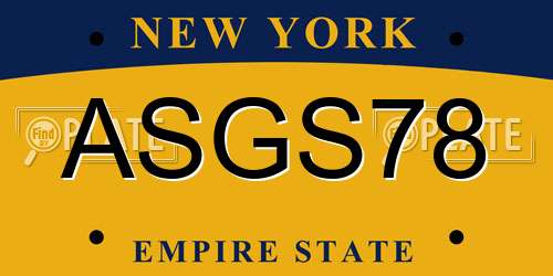 ASGS78 New York License Plate