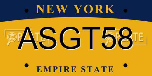 ASGT58 New York License Plate