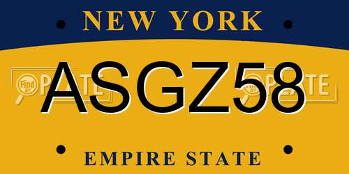 ASGZ58 New York License Plate