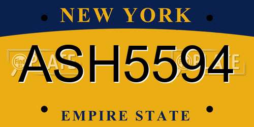 ASH5594 New York License Plate