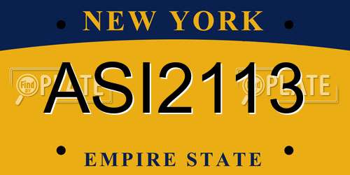 ASI2113 New York License Plate