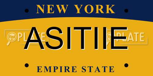 ASITIIE New York License Plate