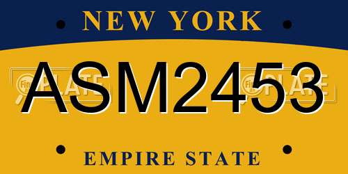 ASM2453 New York License Plate