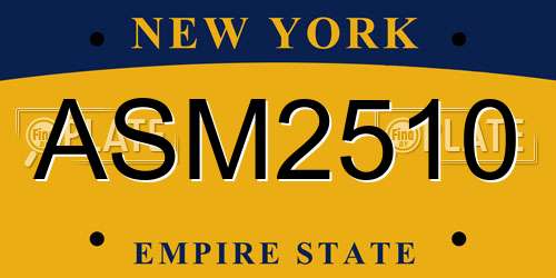 ASM2510 New York License Plate