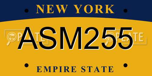ASM255 New York License Plate