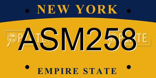 ASM258 New York License Plate