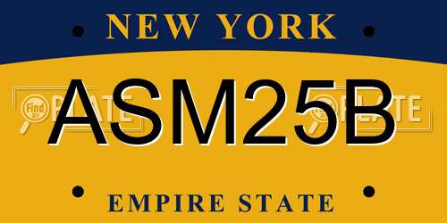 ASM25B New York License Plate