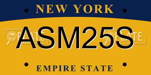 ASM25S New York License Plate