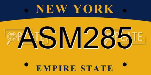 ASM285 New York License Plate