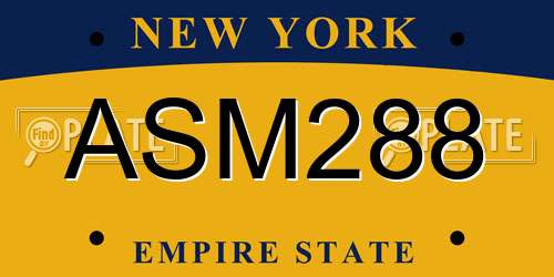 ASM288 New York License Plate