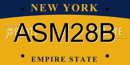 ASM28B New York License Plate