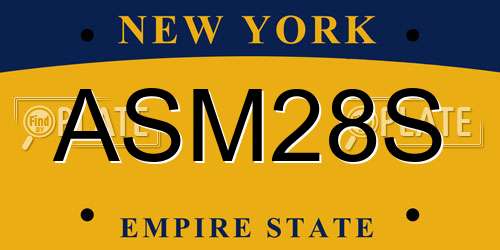 ASM28S New York License Plate