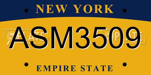 ASM3509 New York License Plate