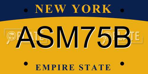 ASM75B New York License Plate