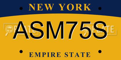 ASM75S New York License Plate