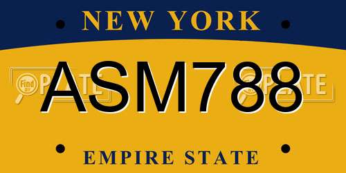 ASM788 New York License Plate
