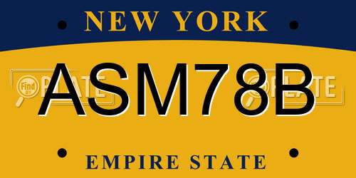 ASM78B New York License Plate