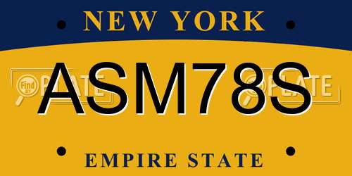 ASM78S New York License Plate