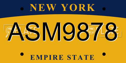 ASM9878 New York License Plate