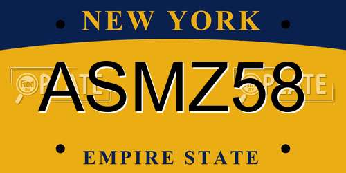 ASMZ58 New York License Plate