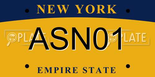 ASN01 New York License Plate