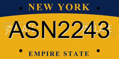 ASN2243 New York License Plate