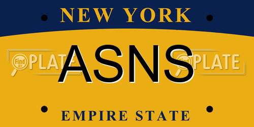 ASNS New York License Plate