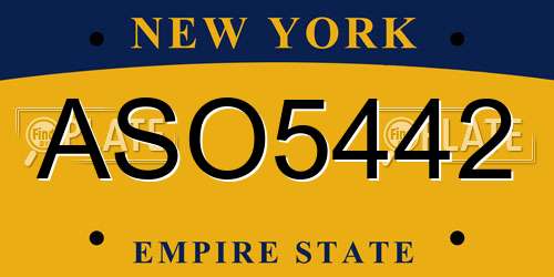 ASO5442 New York License Plate