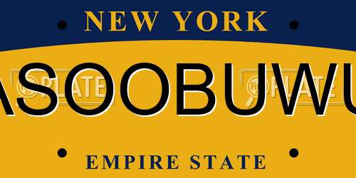 ASOOBUWU New York License Plate