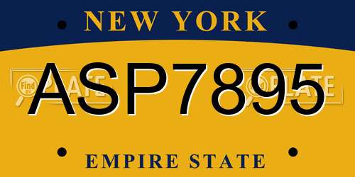 ASP7895 New York License Plate