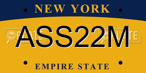 ASS22M New York License Plate