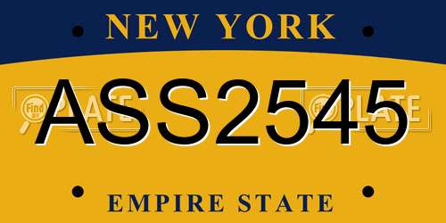 ASS2545 New York License Plate