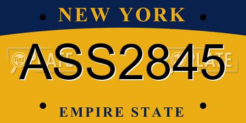ASS2845 New York License Plate