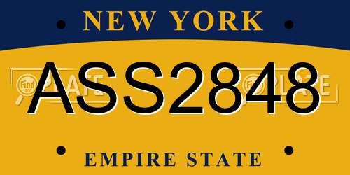 ASS2848 New York License Plate