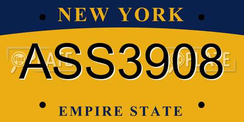 ASS3908 New York License Plate