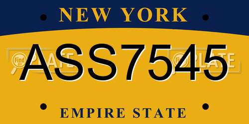 ASS7545 New York License Plate
