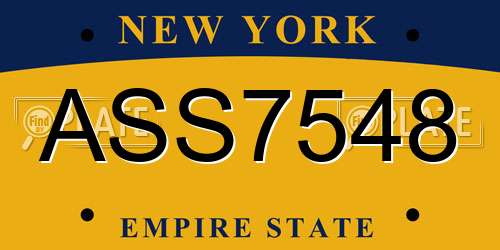 ASS7548 New York License Plate