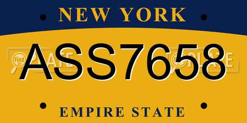 ASS7658 New York License Plate