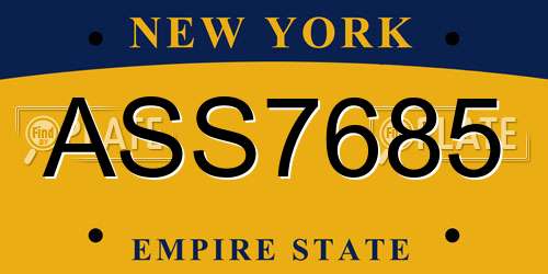 ASS7685 New York License Plate